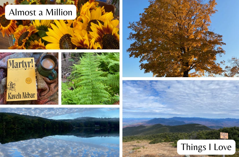 A collection of images: sunflowers in vases, Martyr! next to a mug of tea, a green fern, a tall orange sugar maple against a blue sky, clouds reflected in a lake, and a vista of mountains. The words ‘Almost a Million Things I Love’ appear in the top and bottom corners.