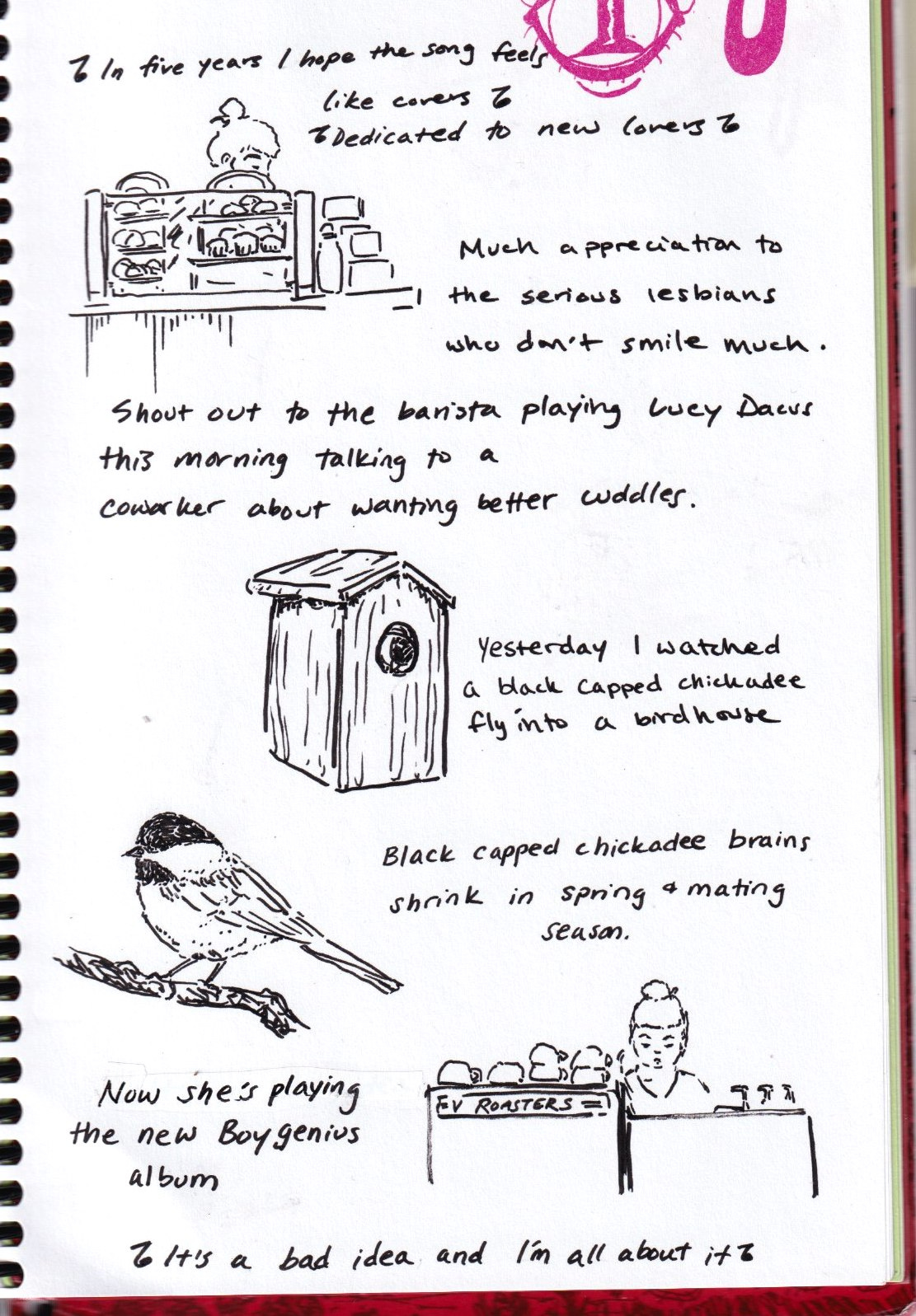 Black and white ink drawing done on white paper in my planner. Gutterless, borderless free flowing comic. The first image is of the top of a barista’s head peaking over a shelf of pastries at a coffee shop. Lyrics read above: In five years I hope the song feels like covers/dedicated to new lovers. My own caption reads: Much appreciation to serious lesbians who don’t smile much.   Shout out to the barista playing Lucy Dacus this morning talking to a coworker about wanting better cuddles.   A second image of a bird’s head peaking out of a wooden birdhouse. Text reads: yesterday I watched a black caped chickadee fly into a birdhouse.   A third image below: a drawing of a black capped chickadee standing. Text reads: Black capped chickadee brains shrink in spring and mating season.   The last image is of the barista again, behind the counter and espresso machine. Mugs are stacked in front of her. She looks serious and uninterested. Text reads: Now she’s playing the new Boygenius album. Lyrics are at the bottom: It’s a bad idea and I’m all about it. 
