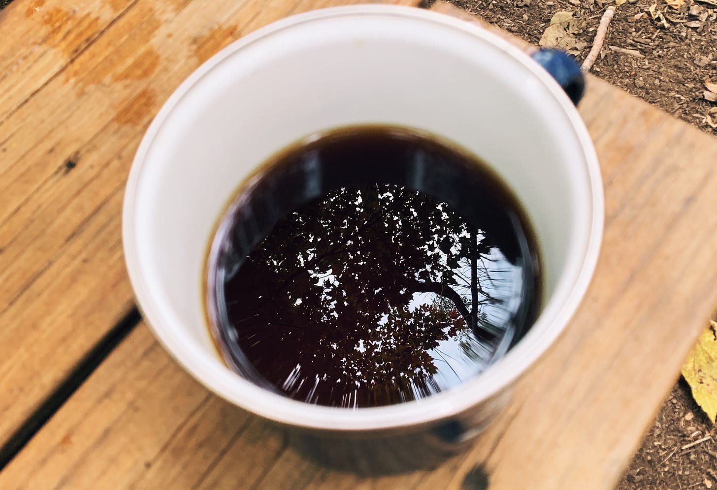 Cup of warm coffee with a reflection of trees inside the coffee cup.