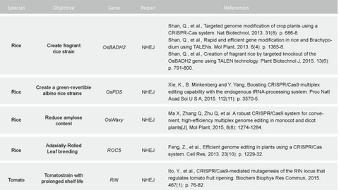 Introducing Synthetic Biology Horror in a New Light (Pt 1) Https%3A%2F%2Fsubstack-post-media.s3.amazonaws.com%2Fpublic%2Fimages%2Fd630aa9d-3252-48dc-90b7-c6bbbccd5762_480x270