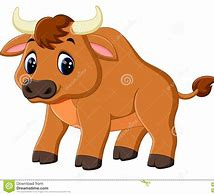 Image result for cute baby bull 