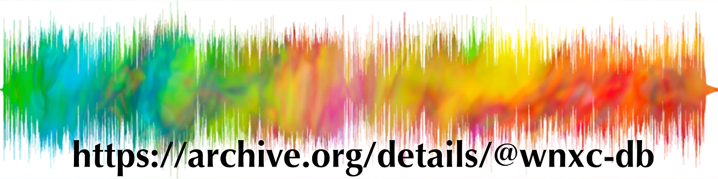 Colorful waveform linking the @WNXC Internet Archive