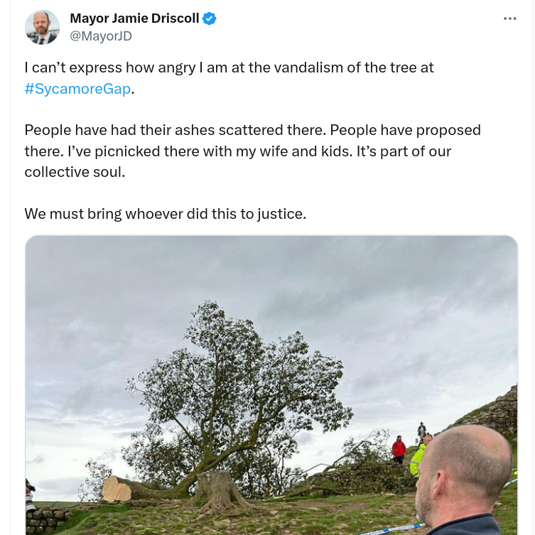 "I can’t express how angry I am at the vandalism of the tree at #SycamoreGap," North of Tyne Mayor Jamie Driscoll wrote on Twitter/X. "People have had their ashes scattered there. People have proposed there. I’ve picnicked there with my wife and kids. It’s part of our collective soul."