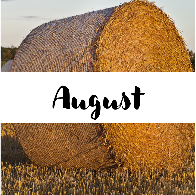 A hay bale. In a white banner, the text reads "August"