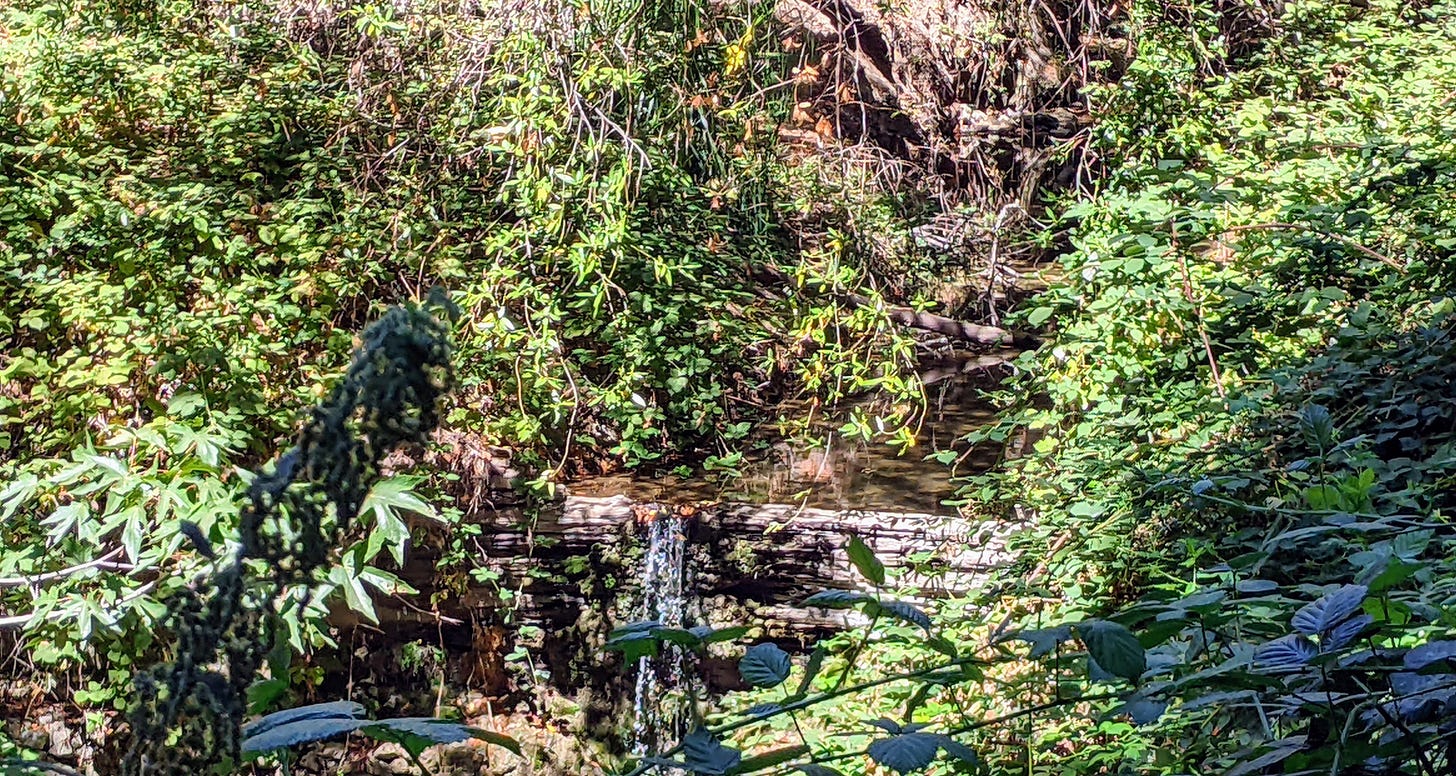 Image of a waterfall along the Greenbelt Trail in Hayward, California.