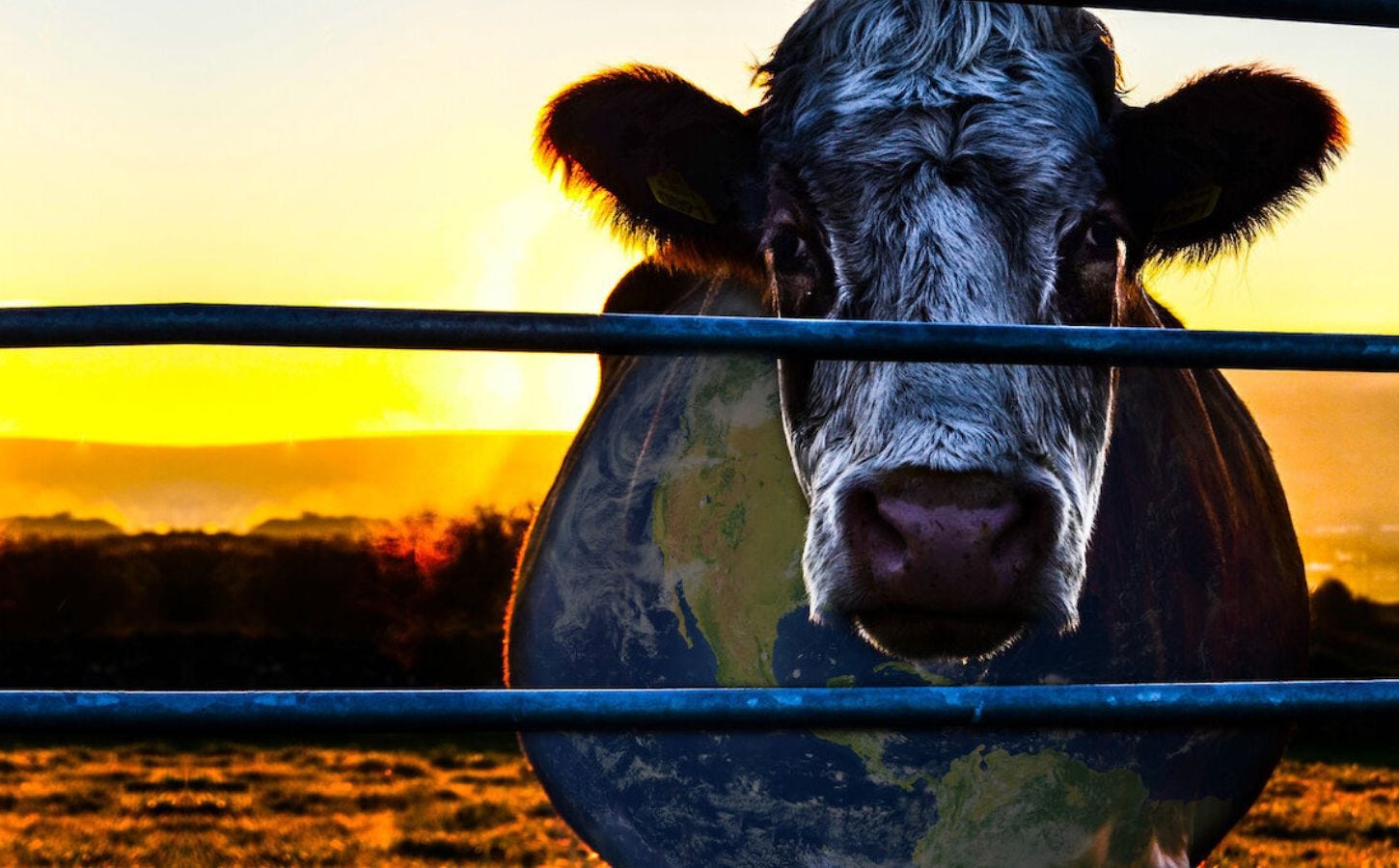 Cowspiracy Is The ‘Most Effective’ Vegan Documentary, Poll Finds