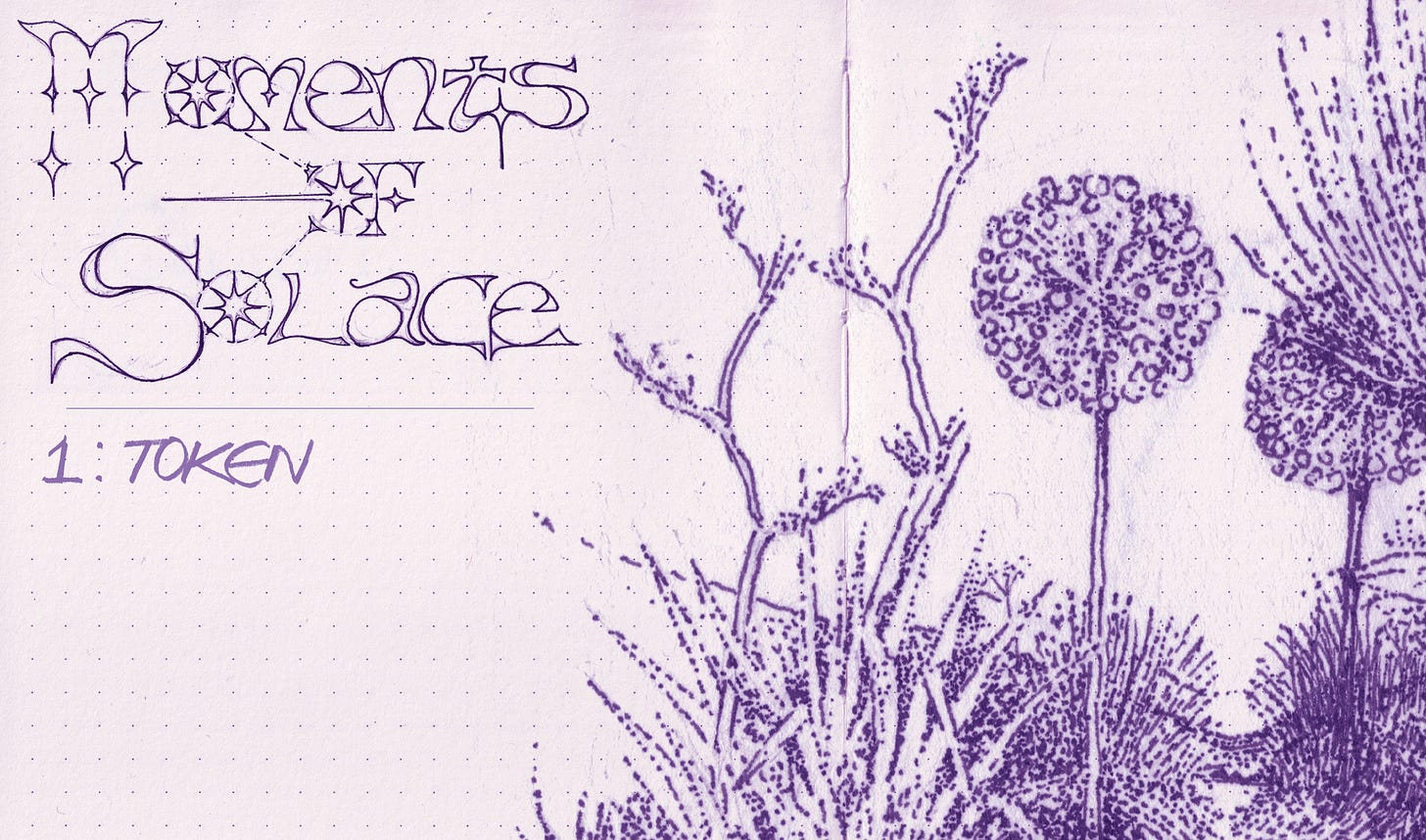title of moments of solace - 1 token on a backdrop of hand drawn plants
