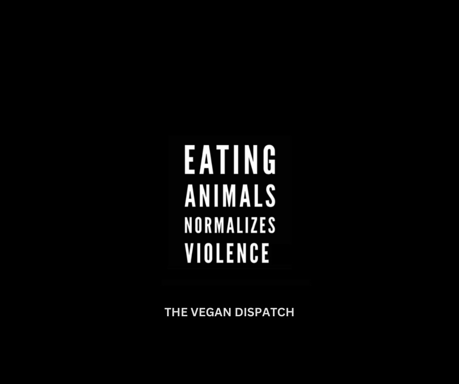 Eating animals normalizes violence.