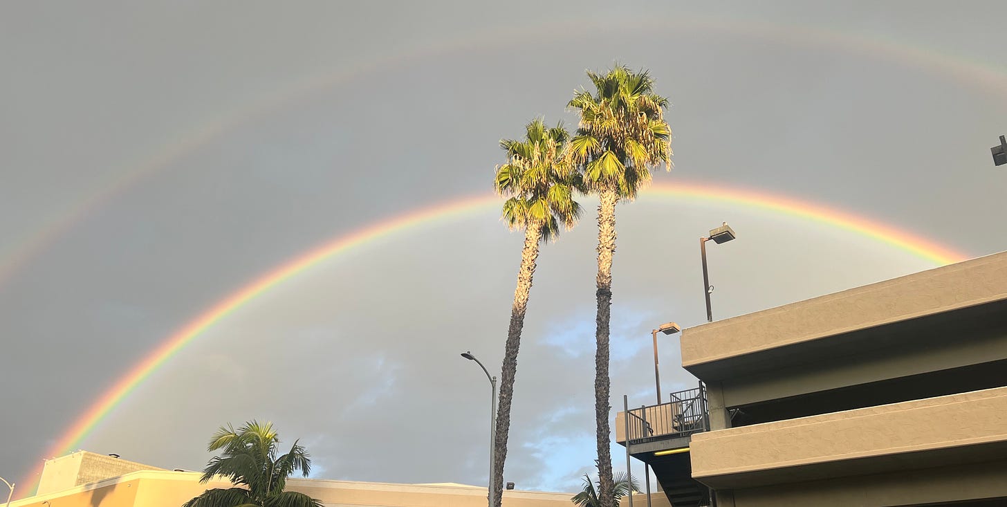 A photograph of a double rainbow with palm trees in the foreground.
