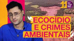 Ecocídio e Crimes Ambientais I 119 - YouTube