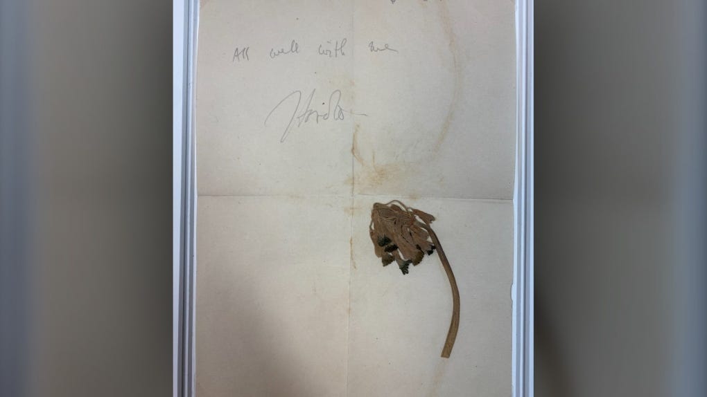 A 1916 letter from soldier Harold Wrong sent to his brother in Toronto included a flower, that until recently, had not been identified.