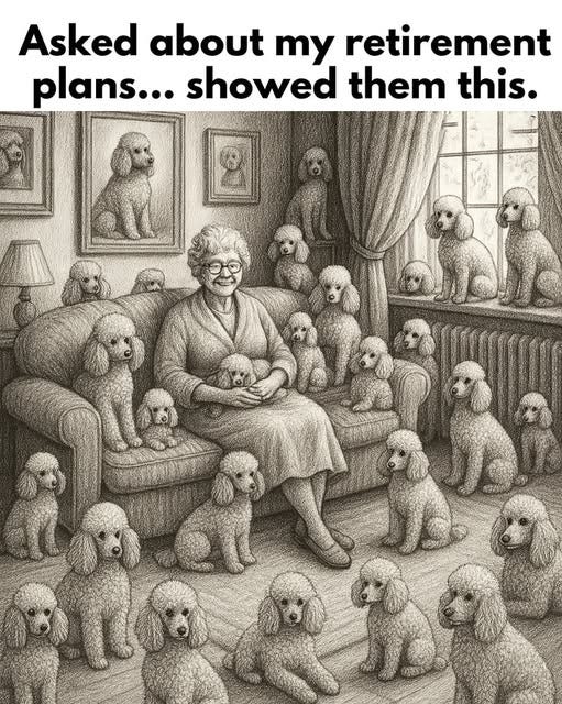 May be an image of text that says 'Asked about my retirement plans... showed them this. 2 aDr'