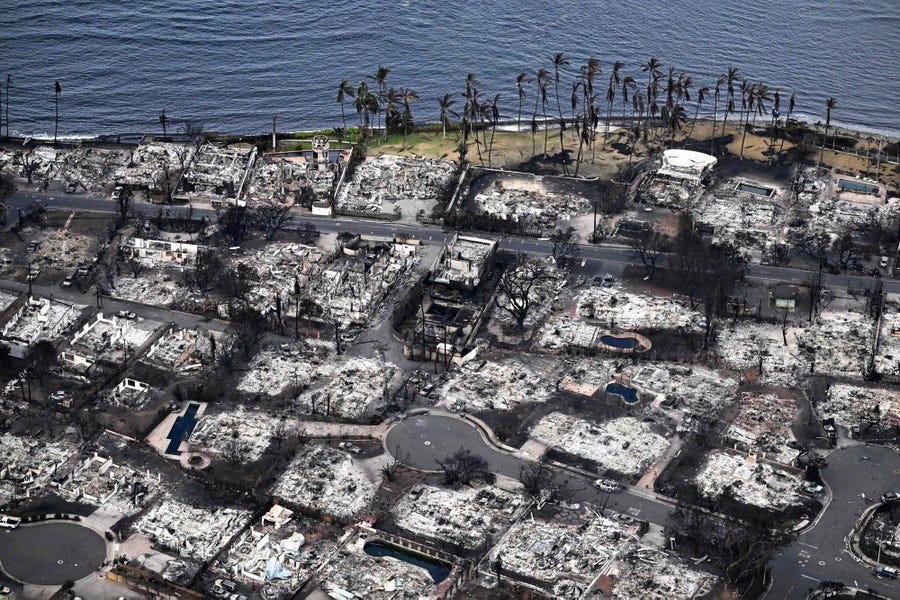 An aerial view of dozens of burned-down houses along a coastline.