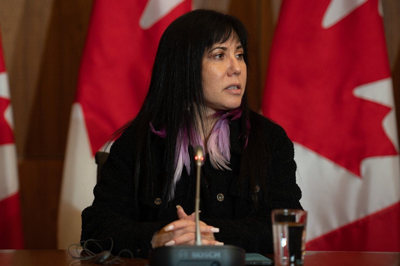 Winnipeg MP Leah Gazan wants 'Red Dress' alert system enacted for missing  Indigenous women | Canada's National Observer: Climate News