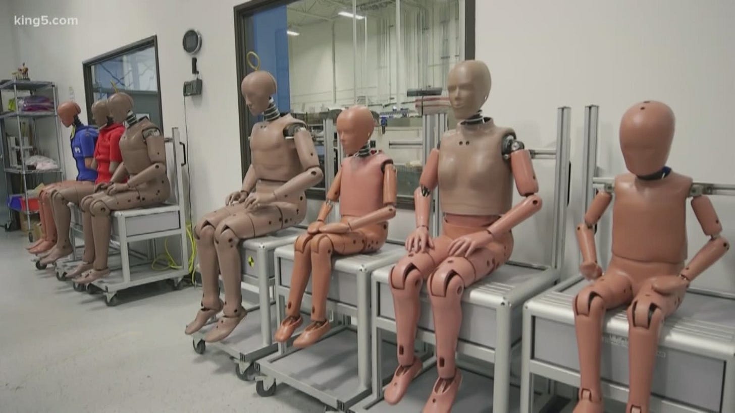 Study finds crash test dummies are biased