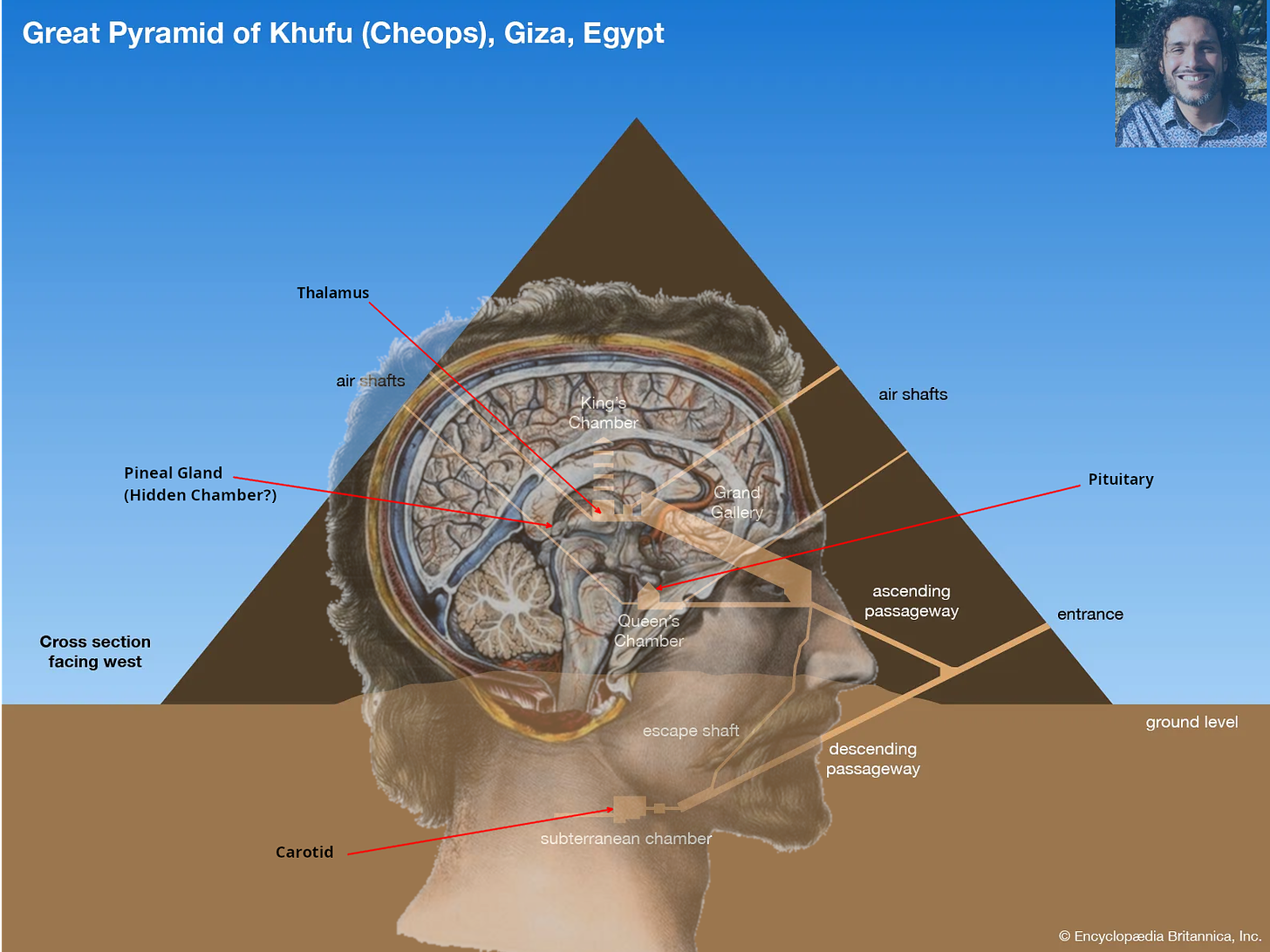 Cross section of a brain with cross section of Great Pyramid