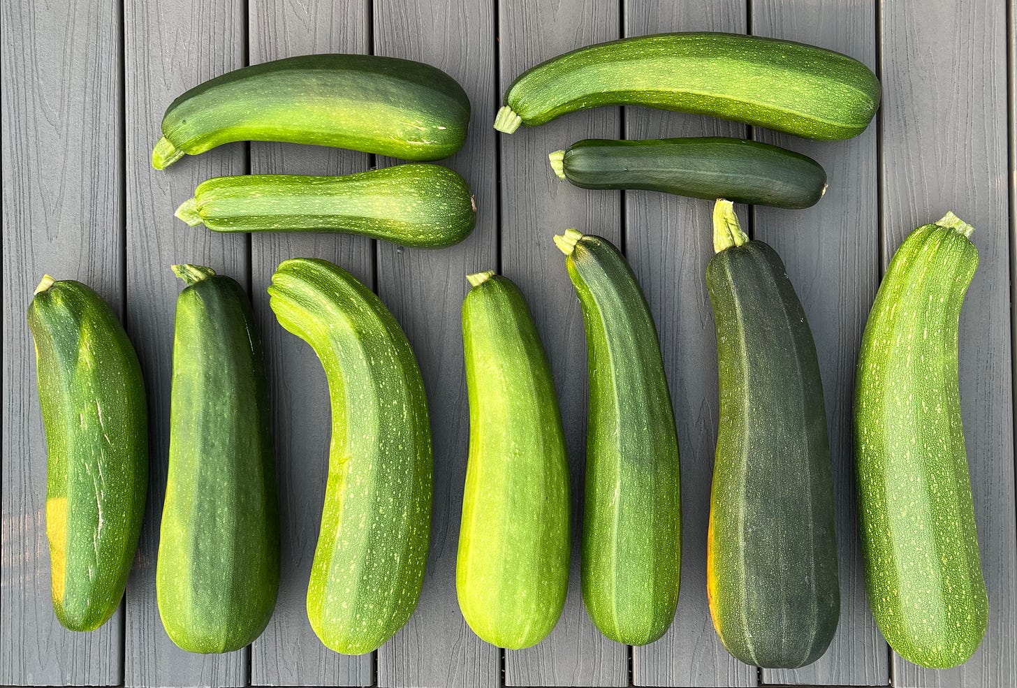 Photo of 11 zucchini on a grey deck.
