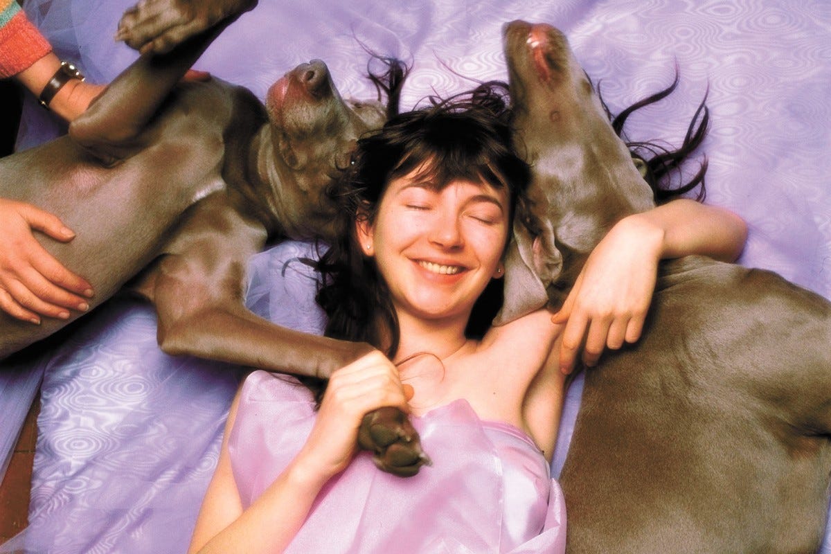 Thirty-five years since its release, Hounds of Love is a testament to the  sonic genius of Kate Bush | Music News | Spokane | The Pacific Northwest  Inlander | News, Politics, Music,