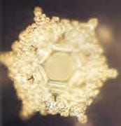Water Crystal- Love (Emoto Masaru)