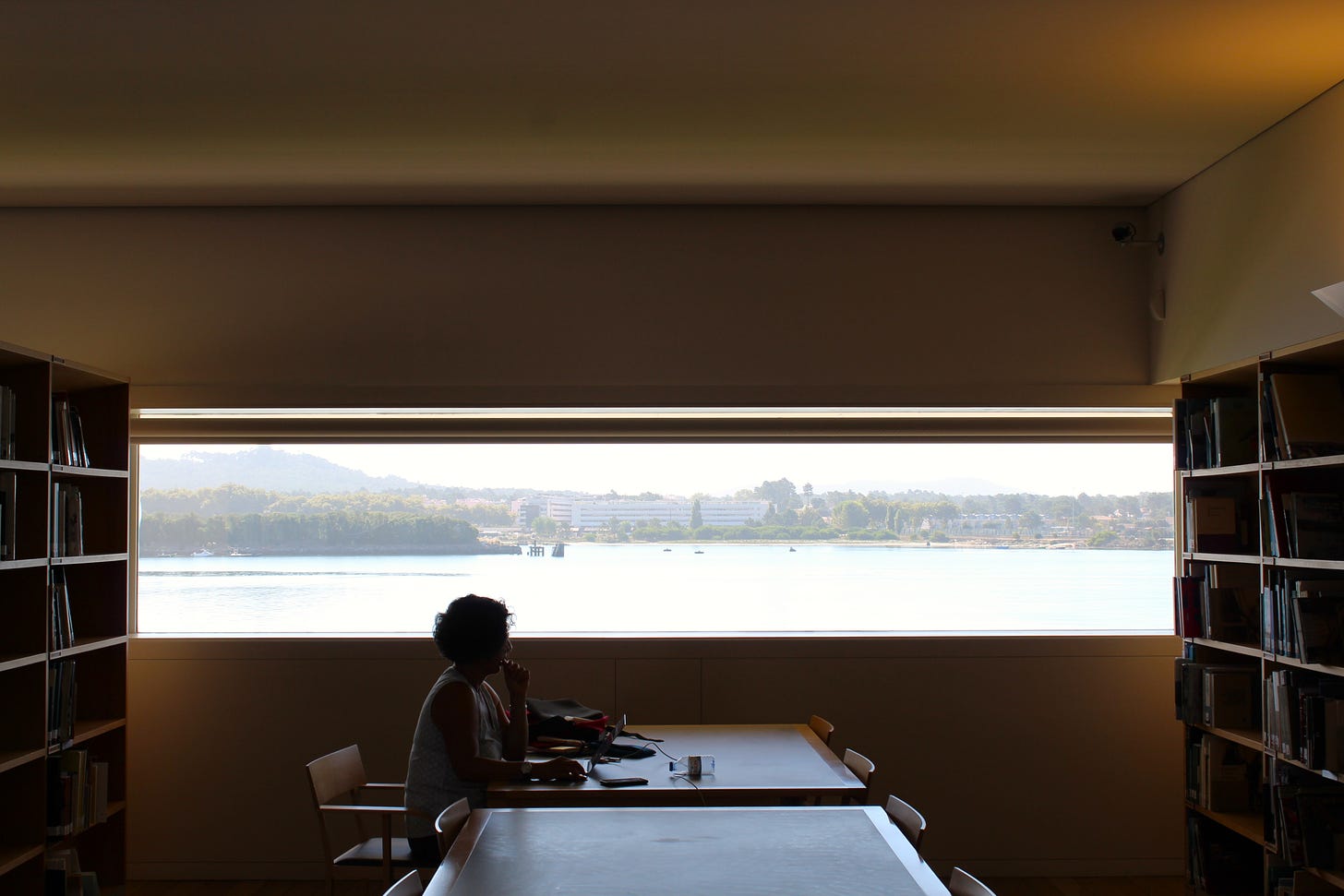 A silhouette of a woman sitting at a study table between two bookshelves; the window behind her shows a body of water.