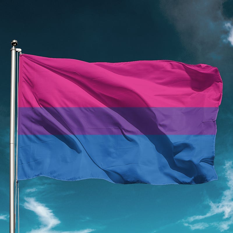 The bisexual pride flag waves in the wind.