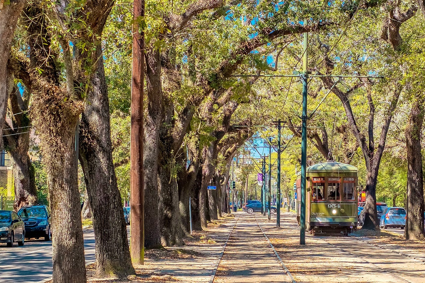 St. Charles Avenue in New Orleans - A Tranquil Slice of Historic New  Orleans – Go Guides