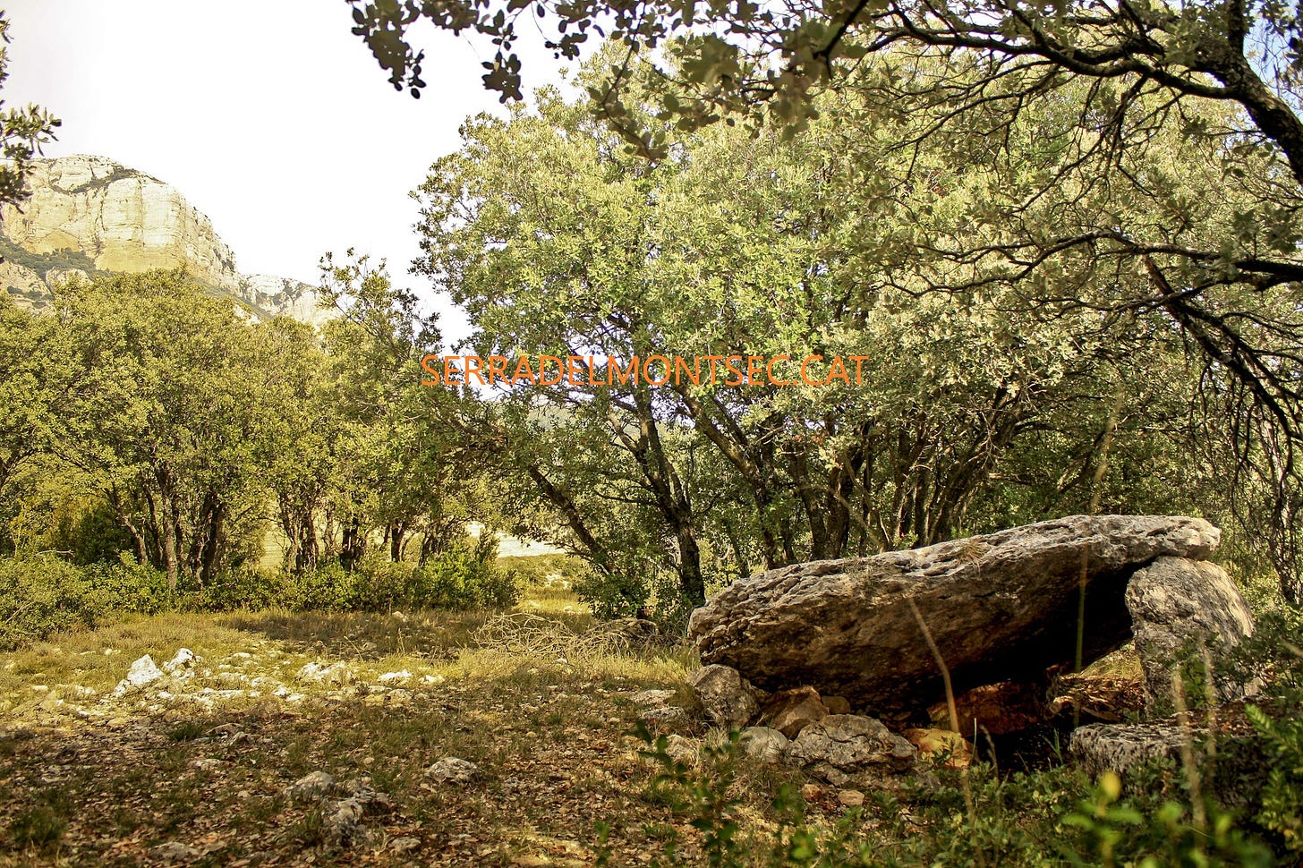 Dolmen de la Lloella del Llop II. Vilanova de Meià. Montsec de Rúbies (o de Meià). La Noguera, Lleida. Catalunya.