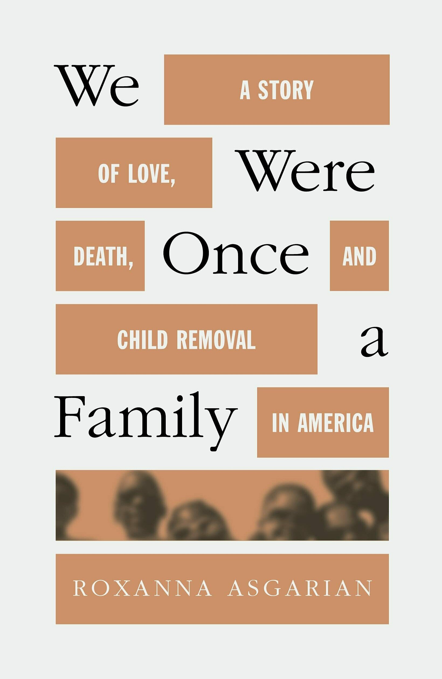 Book cover for We Were Once a Family