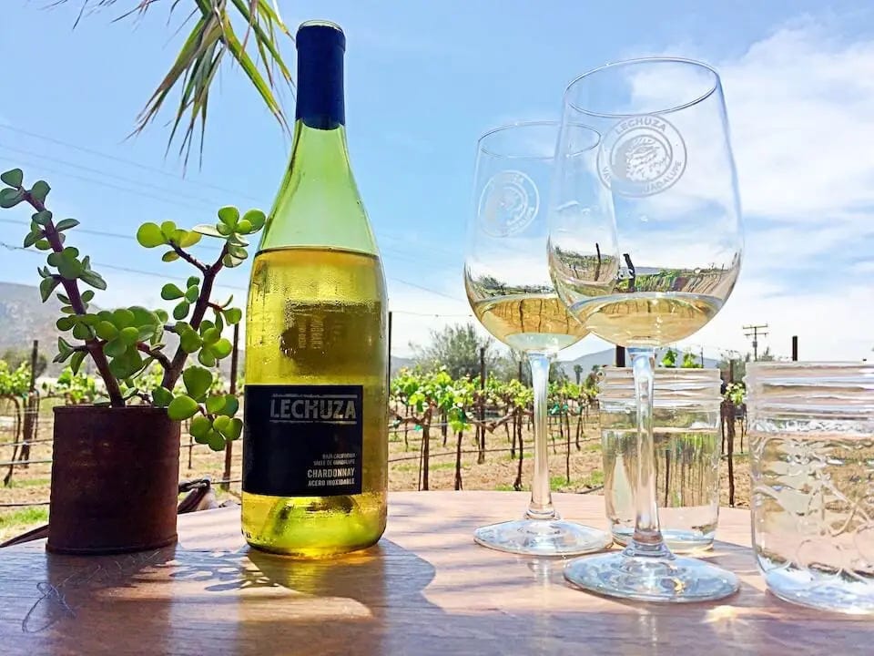 Valle de Guadalupe Wineries (Our Favorites) | UNCORK MEXICO