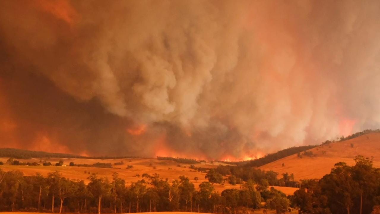 Open for Business: How Mallacoota recovered from bushfires | Photos |  news.com.au — Australia's leading news site