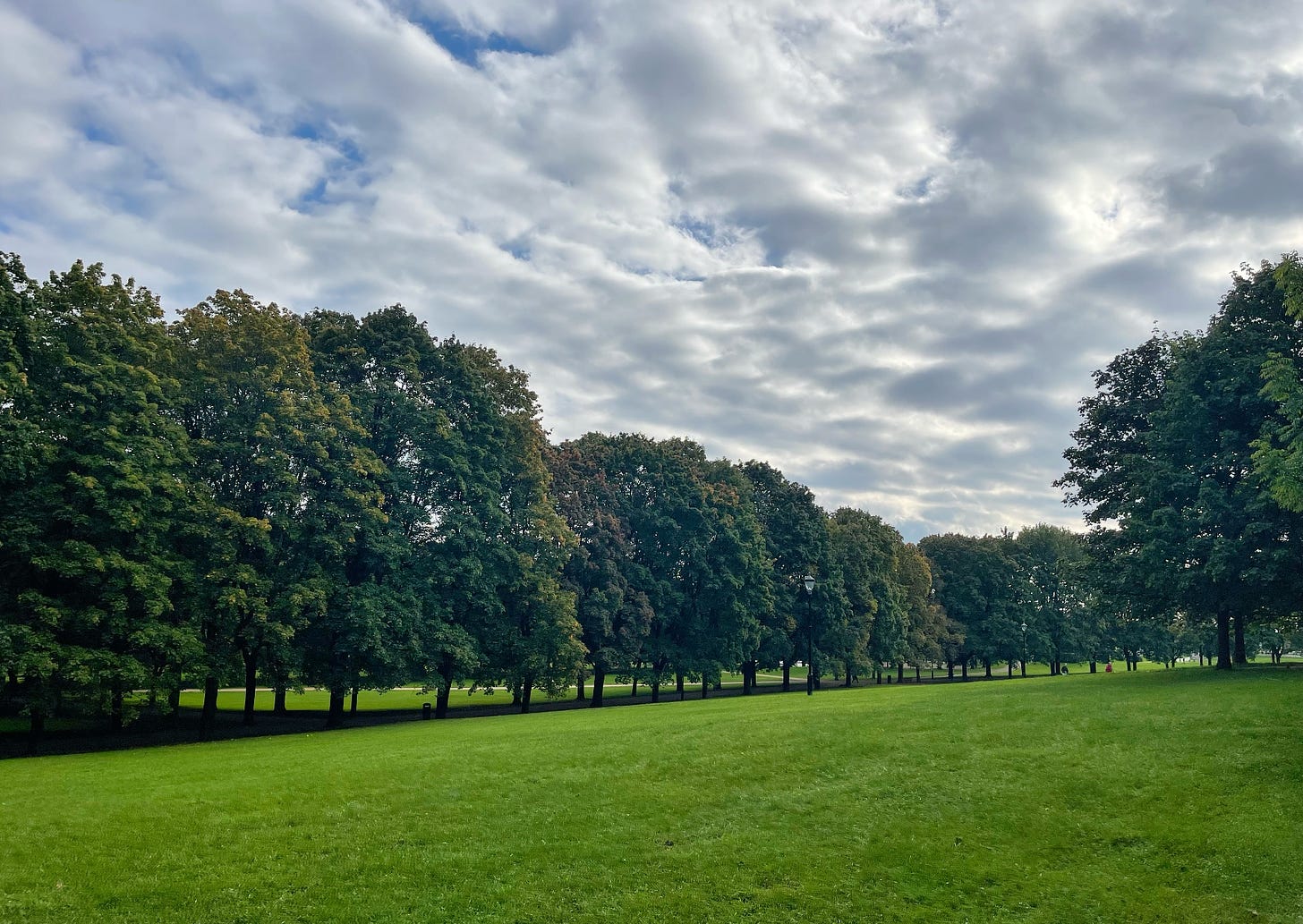 a green park landscape under beautiful clouds