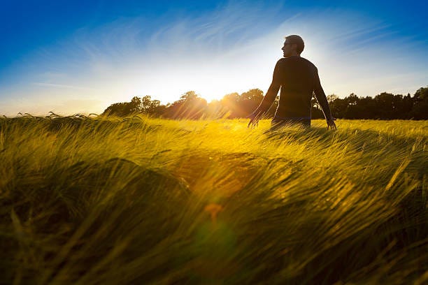 1,600+ Man Barley Field Stock Photos, Pictures & Royalty-Free Images -  iStock