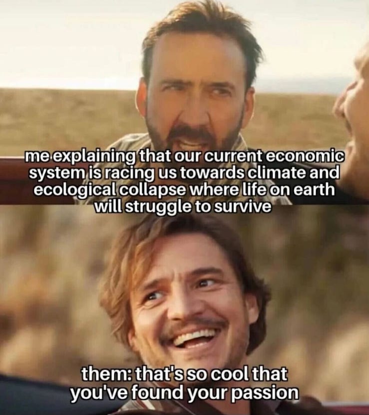 Meme of Nicholas Cage saying “me explaining that our current economic system is racing us towards climate and ecological collapse where life on earth will struggle to survive”, then Pedro Pascal saying “that’s so cool that you’ve found your passion”