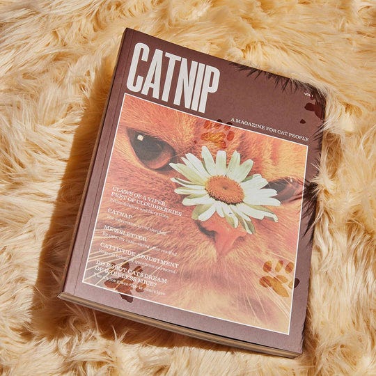 Catnip Magazine | Broccoli