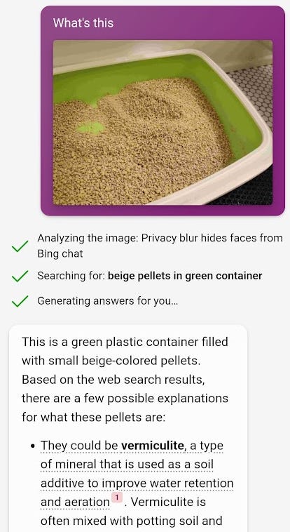 Bing thinks cat litter is vermiculite
