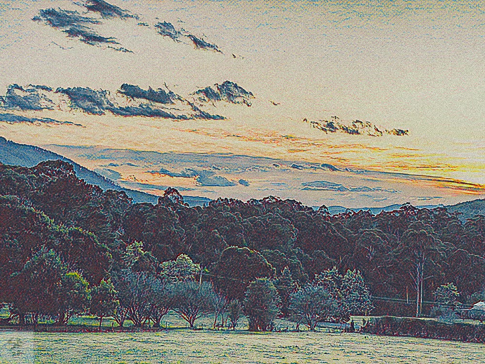 Landscape painting: the upper Yarra Valley. Looking out over a paddock and rows of trees towards the dawn. The sun is rising behind dark, forested hills.