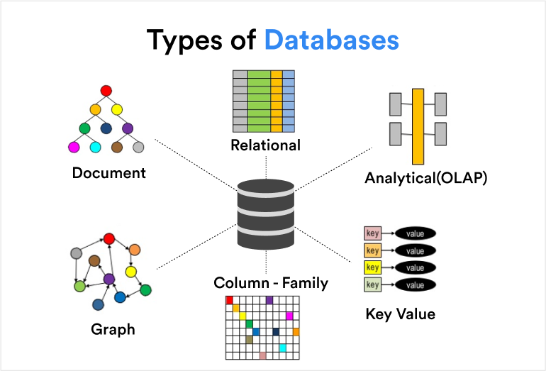 What Are the Different Types of Databases? | FounderJar