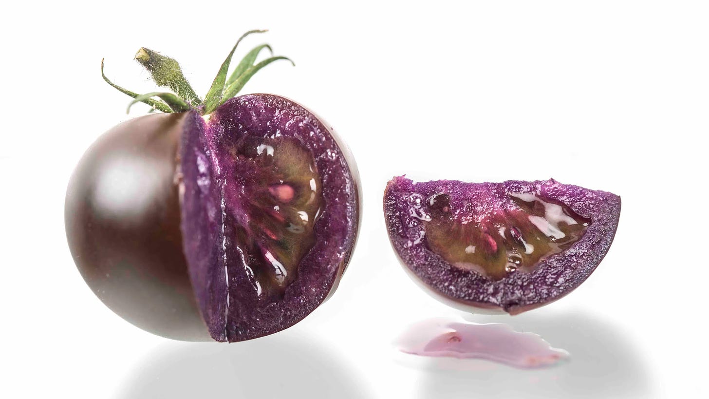 photo of The Purple Tomato with a wedge cut out showing it is purple all the way through and some drops of purplish juice on the white background