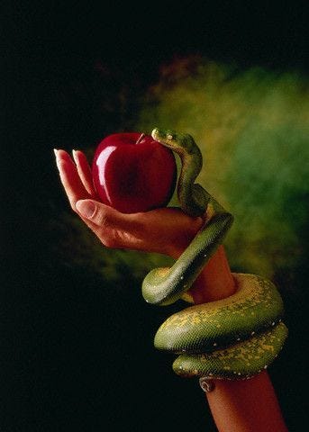 Forbidden Fruit | The Evil Wiki | Fandom
