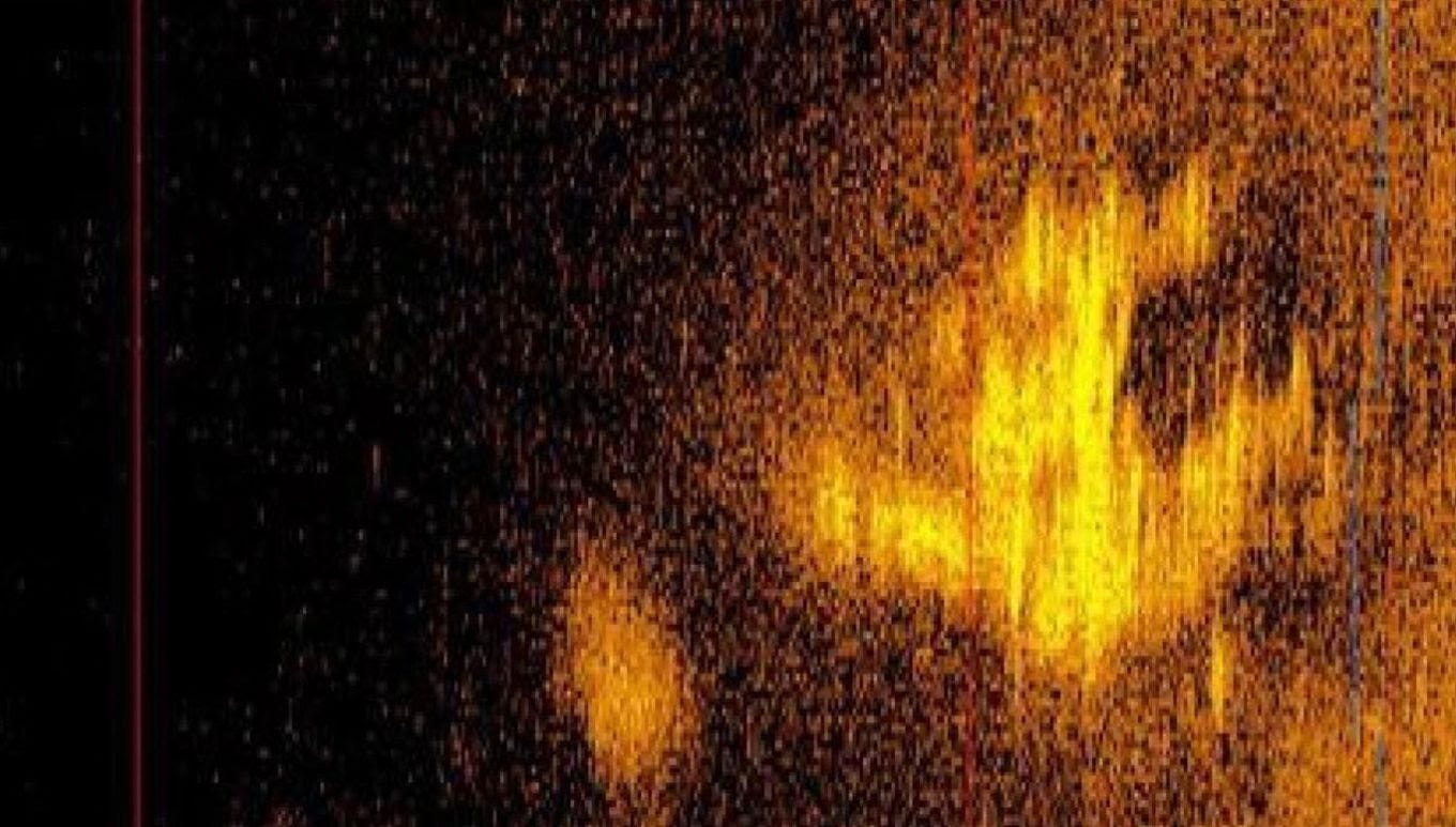 A sonar image of the discovered plane. (Deep Sea Vision/AFP/Getty Images)