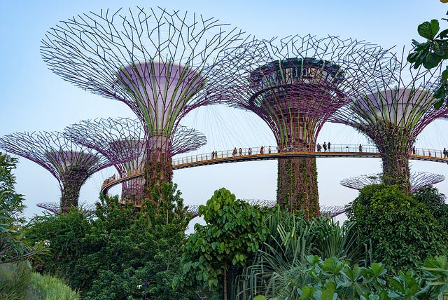 Futuristic tree sculptures in Singapore