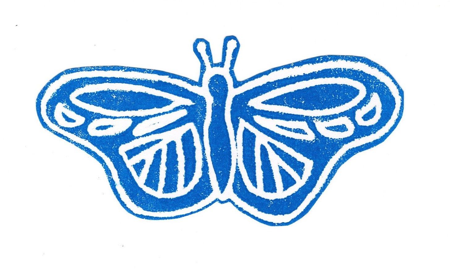 A blue printed butterfly