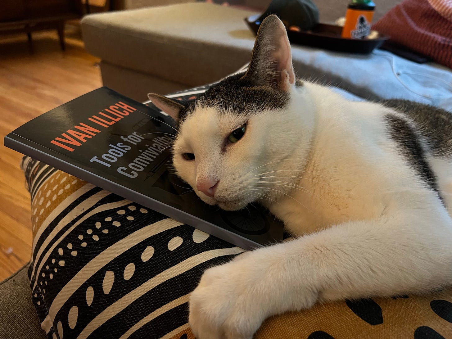 a black and white cat laying on top of a pillow and a book called Tools For Conviviality