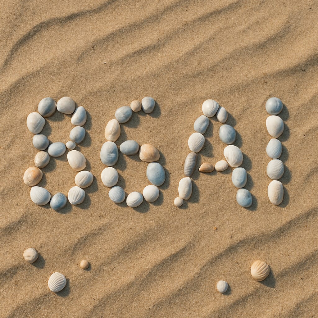 image of shells on a beach