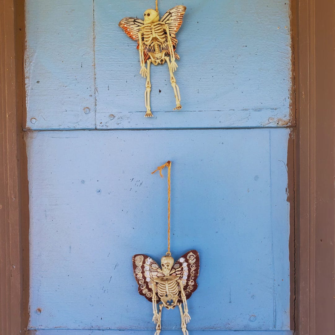 An image of the two fairy-winged skeletons, hanging against Sarah's bright blue house, and referenced in the essay.