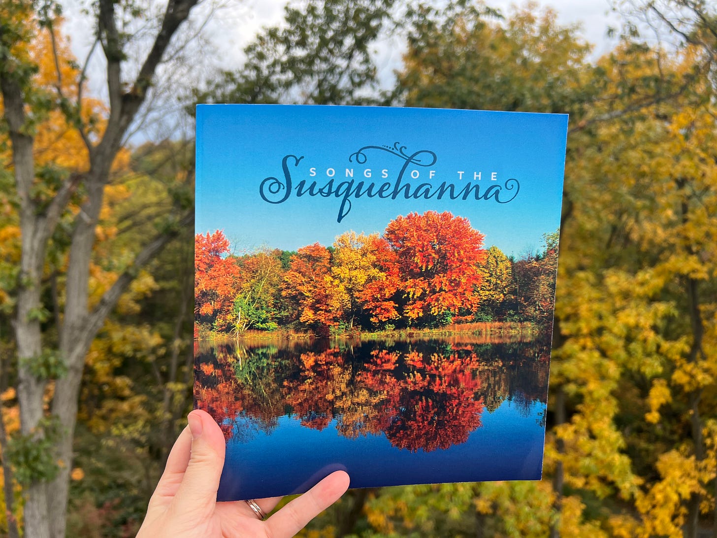 Square book held against a backdrop of fall-colored trees. Cover features fall colored trees. Two flat lays with poems.