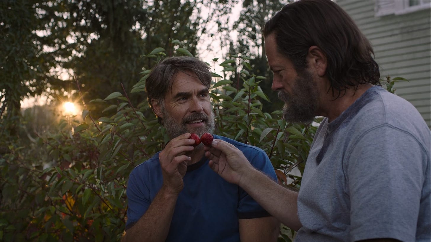Murray Bartlett and Nick Offerman eat strawberries in episode 3 of The Last of Us.