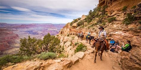 The Grand Canyon by Mule Tour, Arizona, USA | Grand canyon mule ride ...