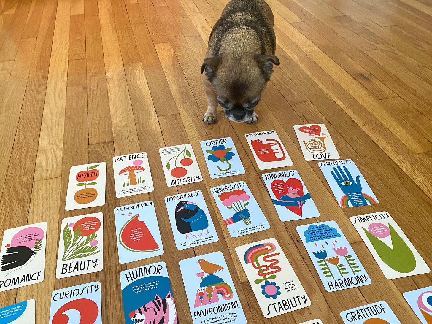 A small Brussels Griffon dog stands on a wood floor looking at a bunch of colorful values cards arranged on the floor. The cards say things like health, patience, integrity, order, kindness, harmony, etc. and each features a colorful but simple illustration.