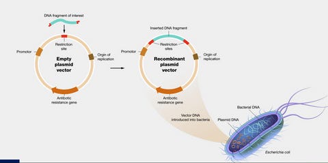 Introducing Synthetic Biology Horror in a New Light (Pt 1) Https%3A%2F%2Fsubstack-post-media.s3.amazonaws.com%2Fpublic%2Fimages%2Fd754798a-55db-467d-b39f-0c6f78c38fcf_480x239